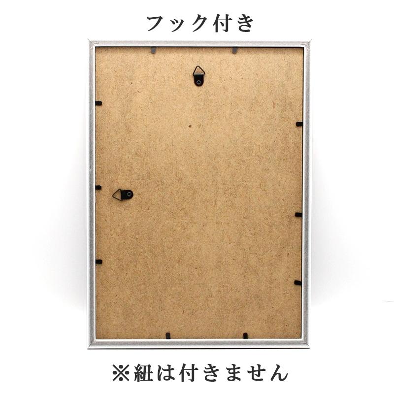 開運フォト 奇跡の写真 昇り龍 額入り 急上昇龍 風水グッズ 開運グッズ