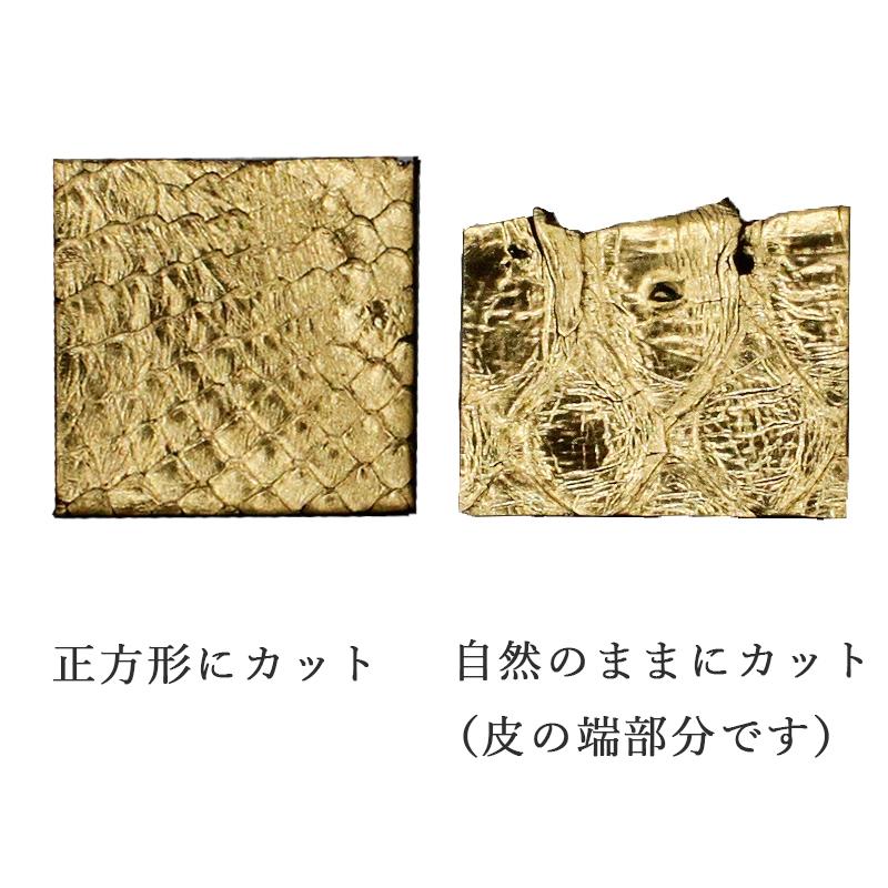 イノシシの毛皮 楽天市場】イノシシの皮剥包丁 左 青紙二号 片刃 いのしし 狩猟