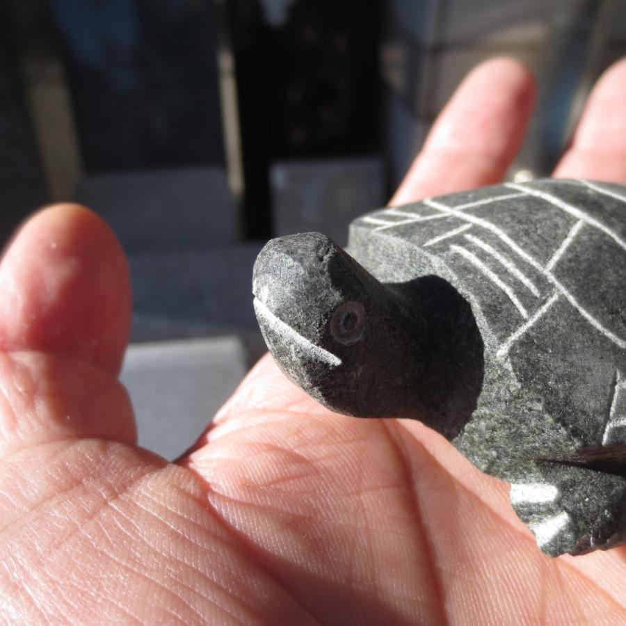 緑カメTurtle-M 亀 かめ の置物 ペーパーウェイト おしゃれ 文鎮 天然