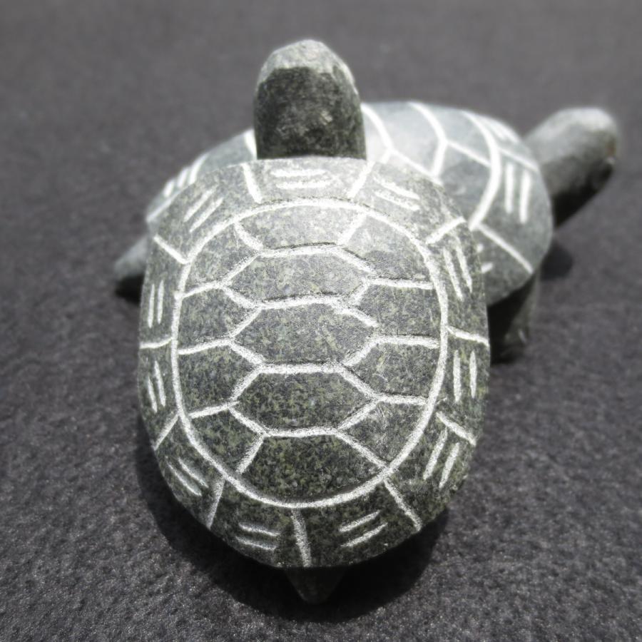 緑カメ Turtle-s 亀 かめ の置物 ペーパーウェイト おしゃれ