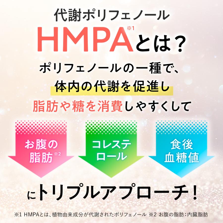 健康道場 サンスター公式 すらなS 30本 機能性表示食品 内臓脂肪 LDL