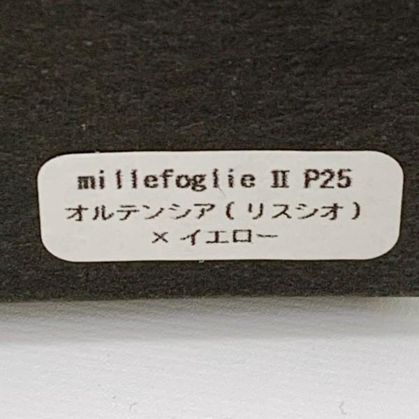 m+（エムピウ） ミッレフォッリエ2 P25 財布 ミニウォレット BOX型小銭