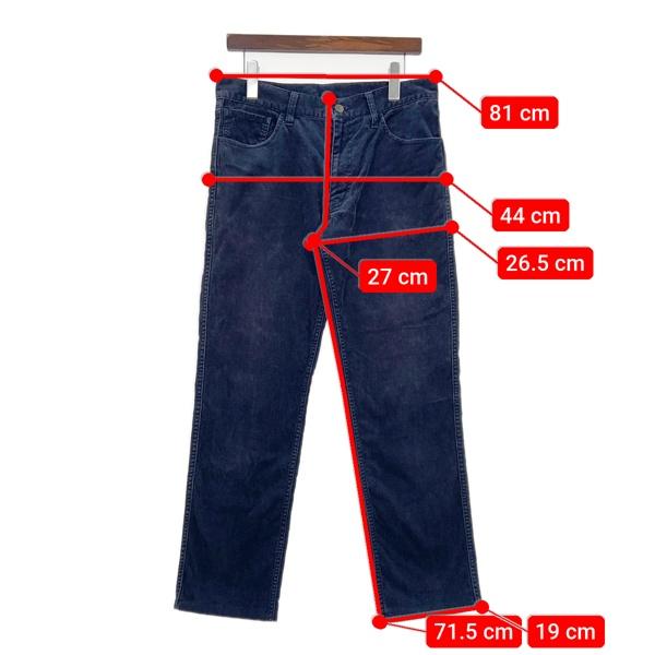 visvim（ヴィズヴィム） ビズビム FLUXUS CORDS コーデュロイ パンツ