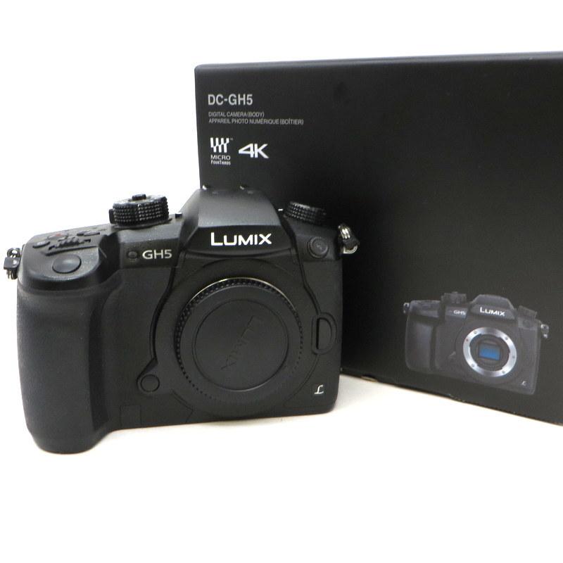 人気特価激安 パナソニック ミラーレス 一眼レフ LUMIX GF3 fawe.org