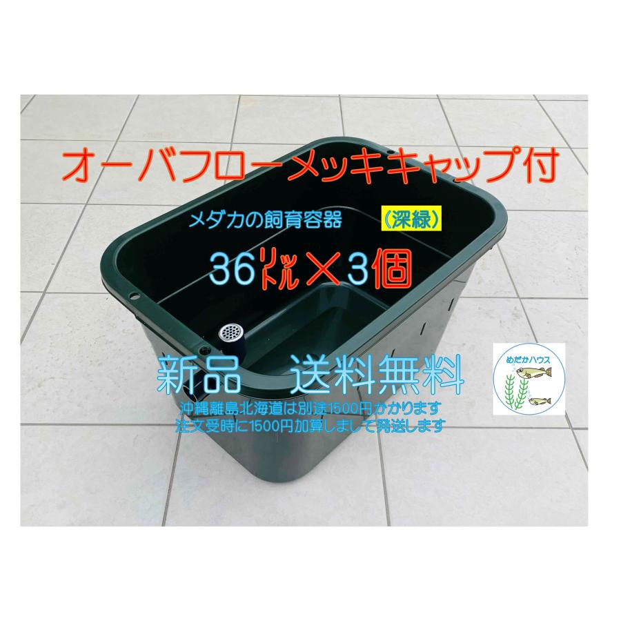 【新仕様】メダカ飼育ケース 36㍑x10個（4色から選択） オーバーフロー加工付 新仕様】メダカ飼育ケース 36㍑x10個（4色から選択