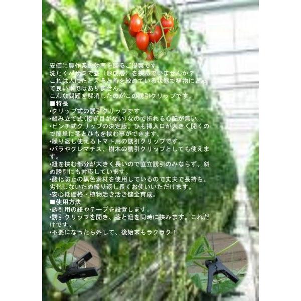 注目ブランド 新誘引クリップ 内径19 00個 国産 Www Thedailyspud Com