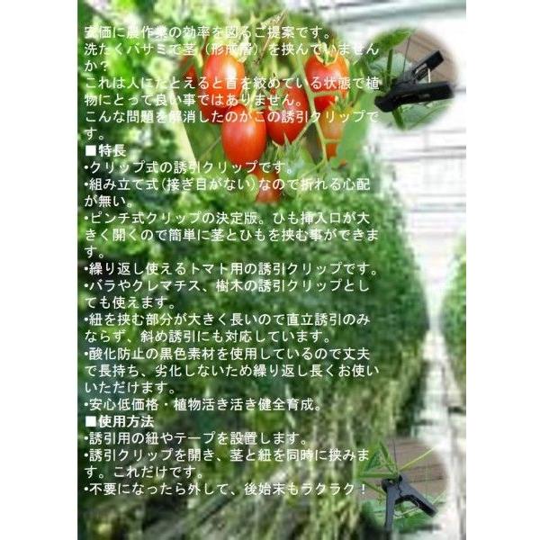 新誘引クリップ 内径11 1000個入 花 園芸 農業 農業資材 Legcare Com Br