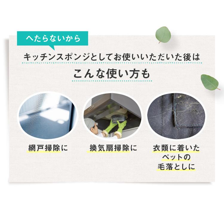 サンサンスポンジ キッチンスポンジ 1個 台所用中性洗剤 サンセブンハイアール 100g お試し 1000円セット スポンジ 食器洗いキッチン【公式ストア】 | サンサンスポンジ | 12