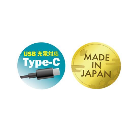 IZUMI（イズミ） IZUMI FR-180 電気シェーバー 日本製 匠の刃 Clean