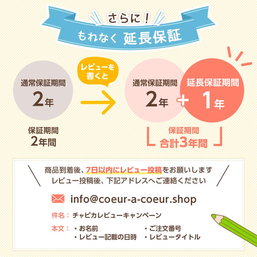 ペンライト コンサート・ライブ用 充電式 15色切替 日本メーカー2年 