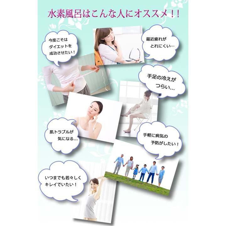 フラックス 浴槽用水素生成器 イルマーレブルースパーレ FLSP-14B