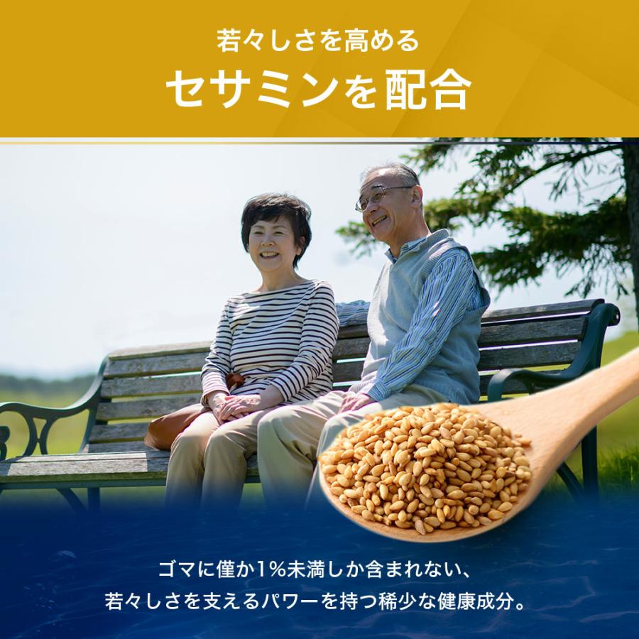 サントリー　240粒　10個セット サントリーdha&epaセサミンex 240粒 【公式通販】