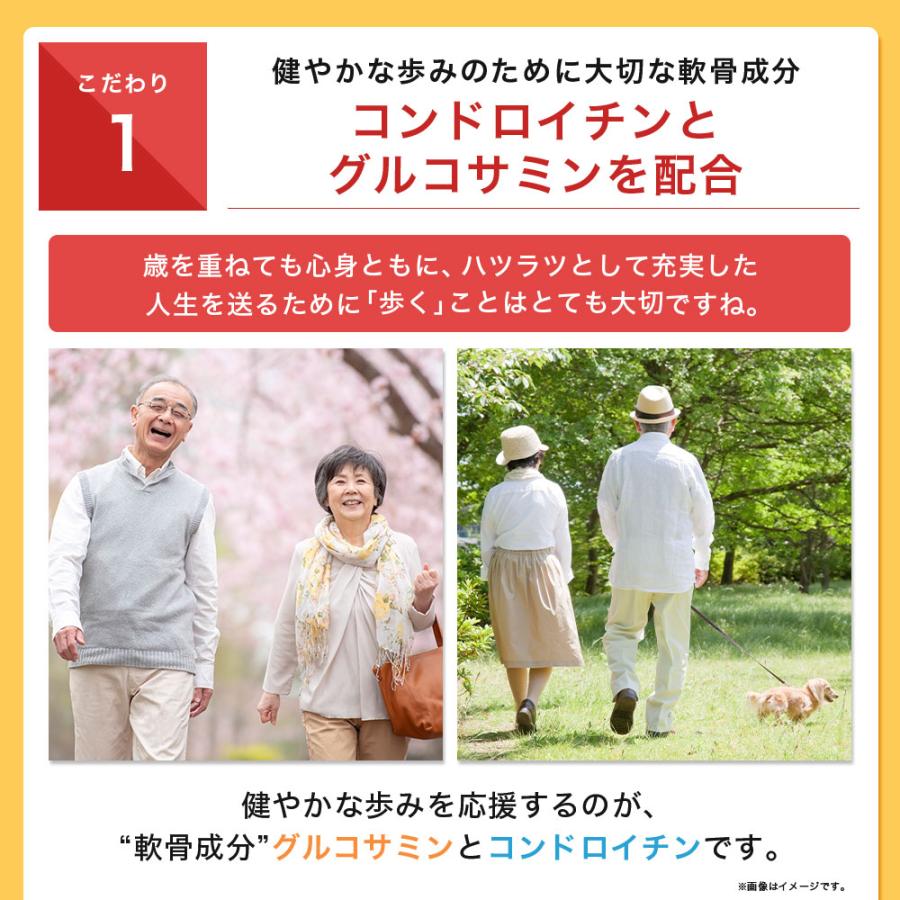 康煕王朝〈10枚組〉 健康王国 3種の神器セット | LOVE WORLD MART