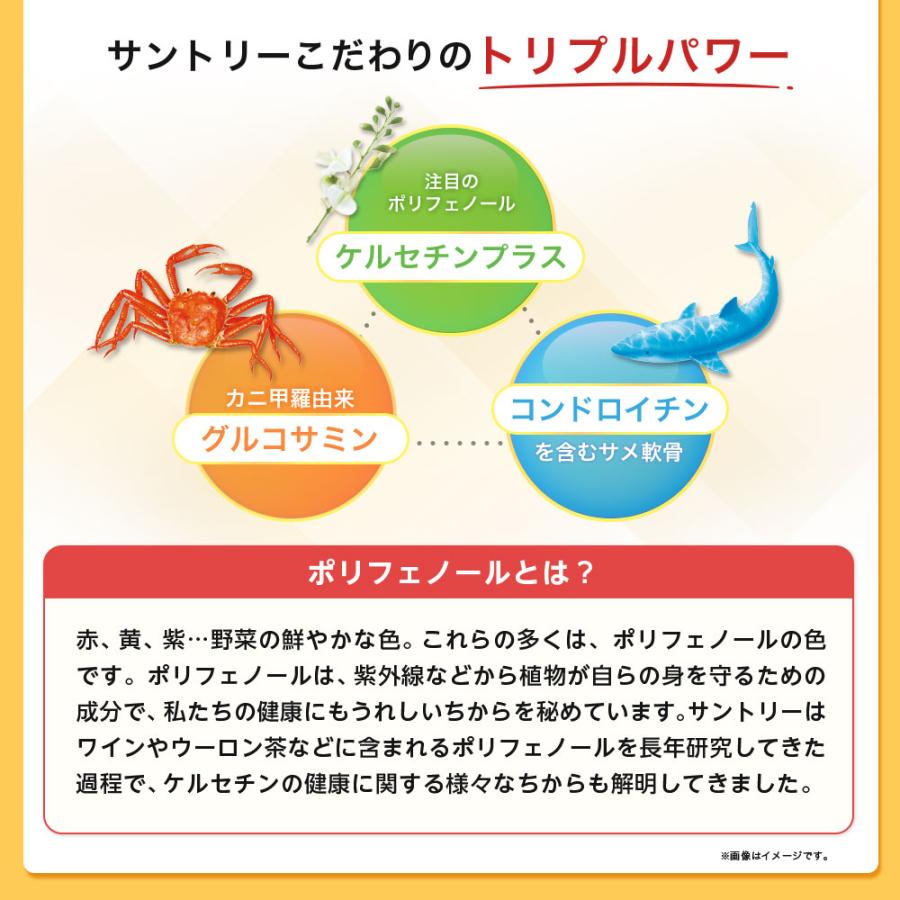 サントリーウエルネス グルコサミン&コンドロイチン 顆粒 60包(約1ヶ月