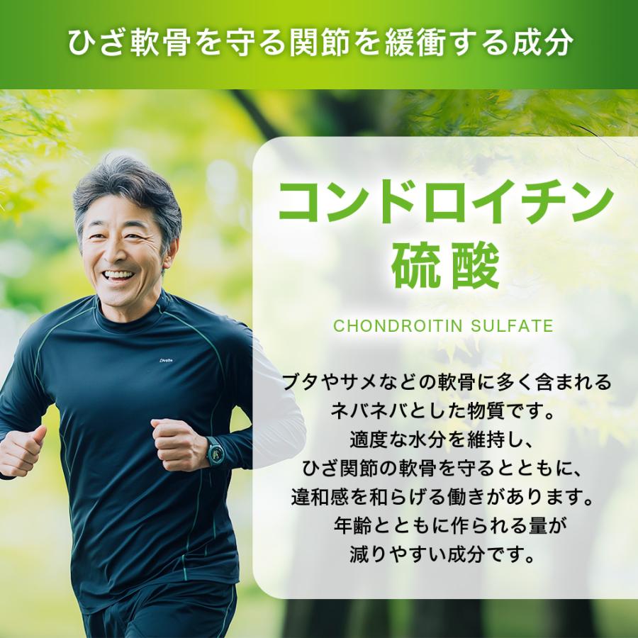 サントリーウエルネス グルコサミンアクティブ ひざ サプリ 360粒(約2