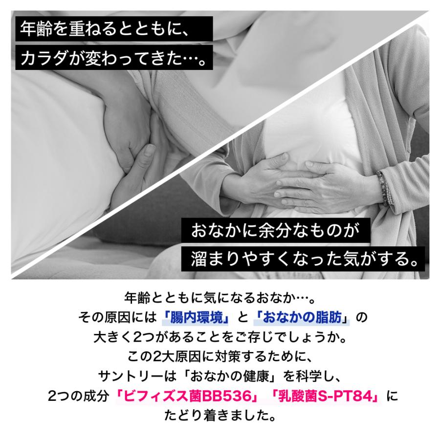 ラクフィット  30粒(約1ヶ月分) 機能性表示食品 サントリー公式 乳酸菌 ビフィズス菌 BB536 S-PT84 サプリメント サプリ | サントリーウエルネス | 06
