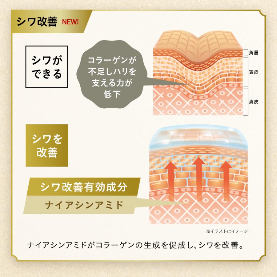 サントリーウエルネス VARONマスターズブレンド スターターセット