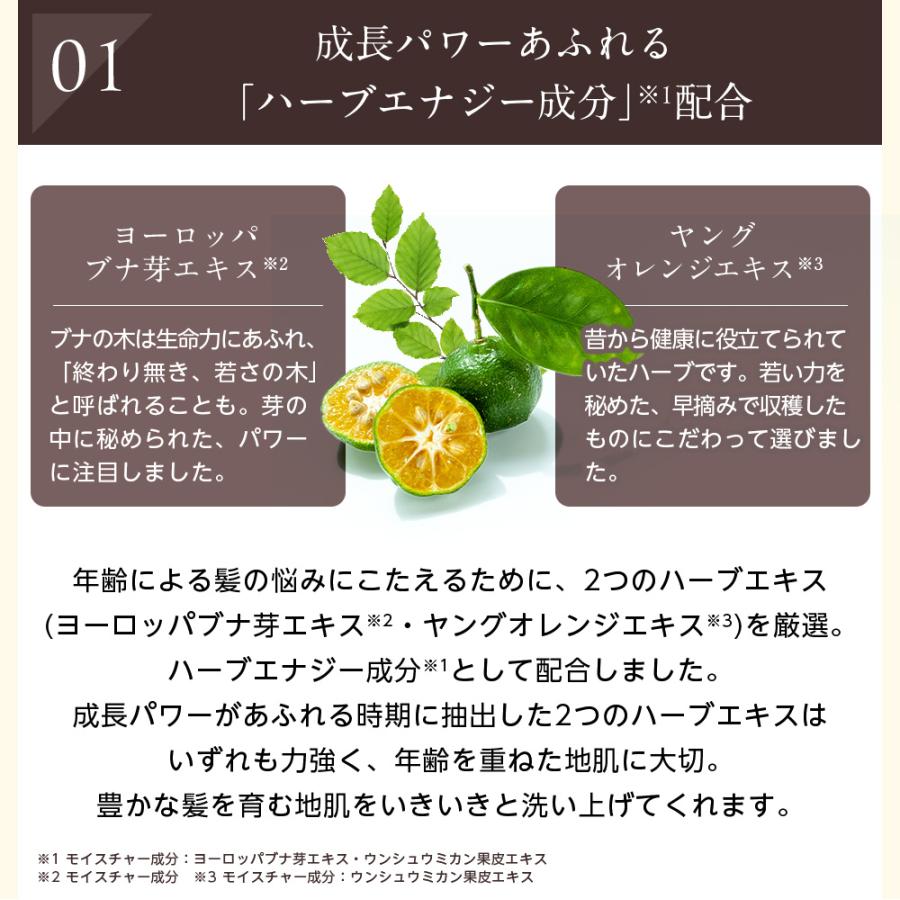 サントリーウエルネス enherb シャンプー 250mL(約45日分) サントリー