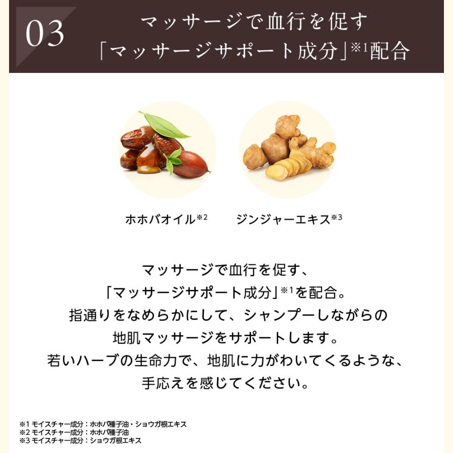 サントリーウエルネス enherb シャンプー 250mL(約45日分) サントリー