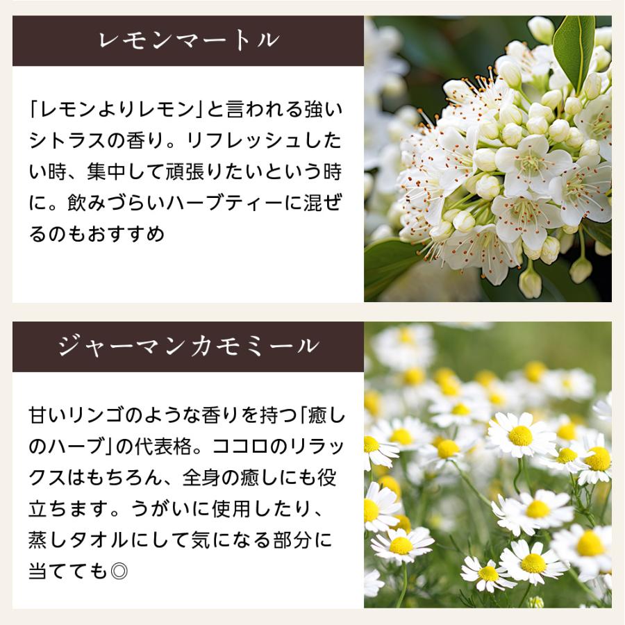 サントリーウエルネス enherb ハーブティー 天使の休息 ティーバッグ