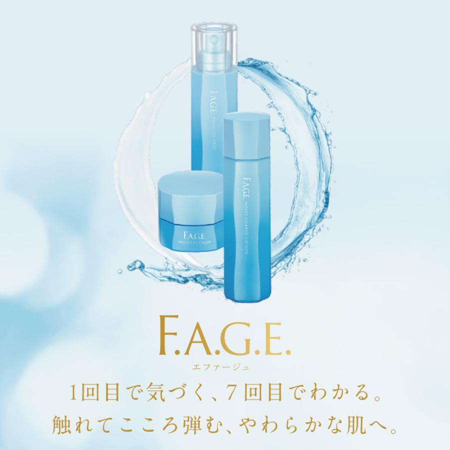 サントリーウエルネス エファージュ ファインスムーズ クレンジング