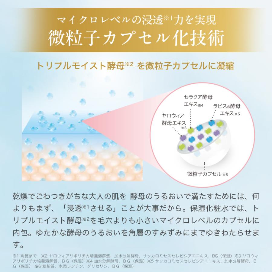 サントリーウエルネス エファージュ モイストチャージローション 濃密