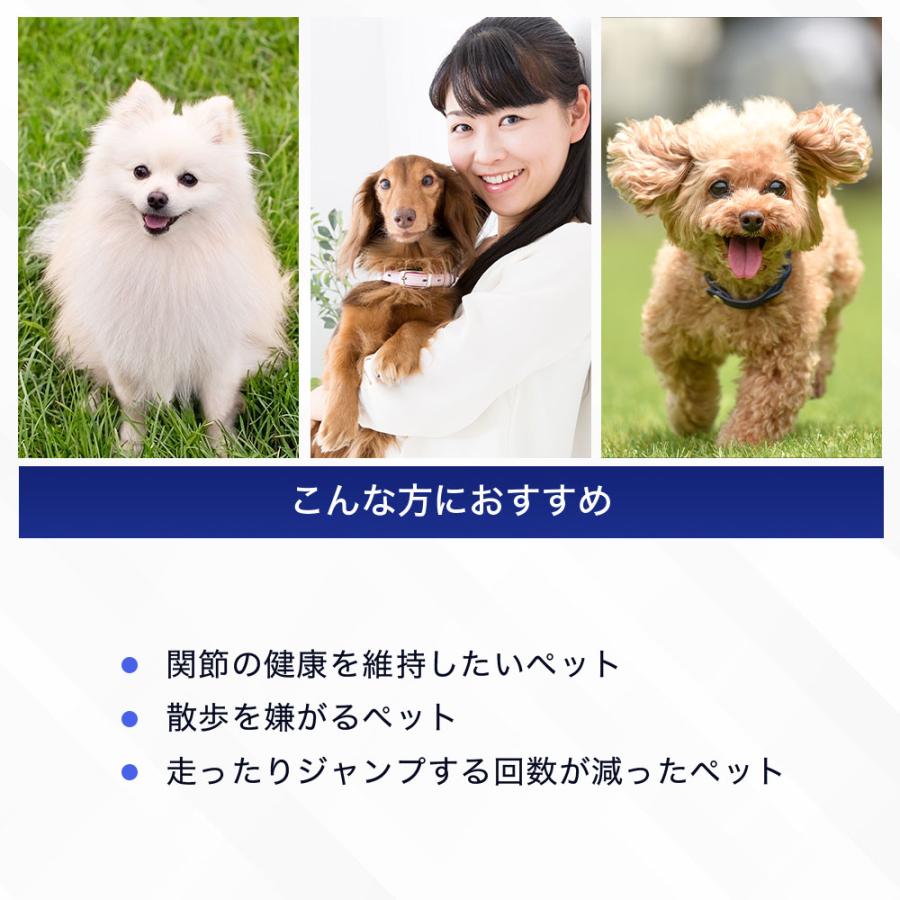 サントリーウエルネス Pet Health (ペットヘルス) グルコサミン 動物用
