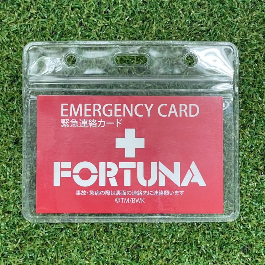 ろんぐらいだぁすとーりーず 防水エマージェンシーカードケー ス 小銭