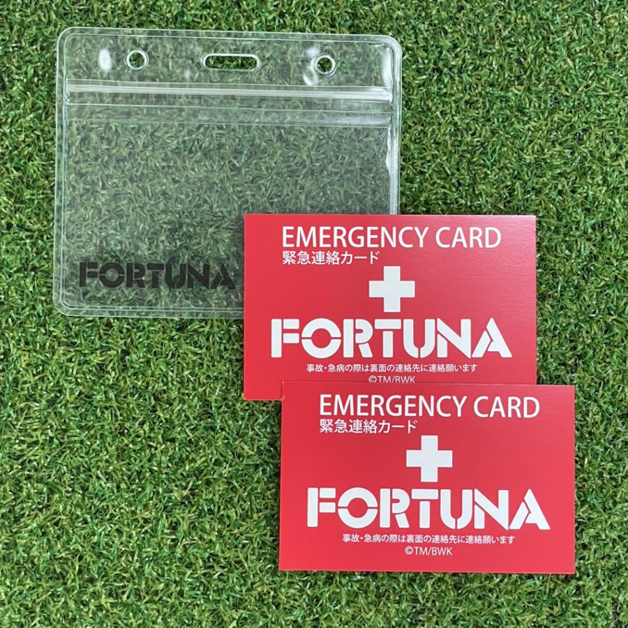 ろんぐらいだぁすとーりーず 防水エマージェンシーカードケー ス