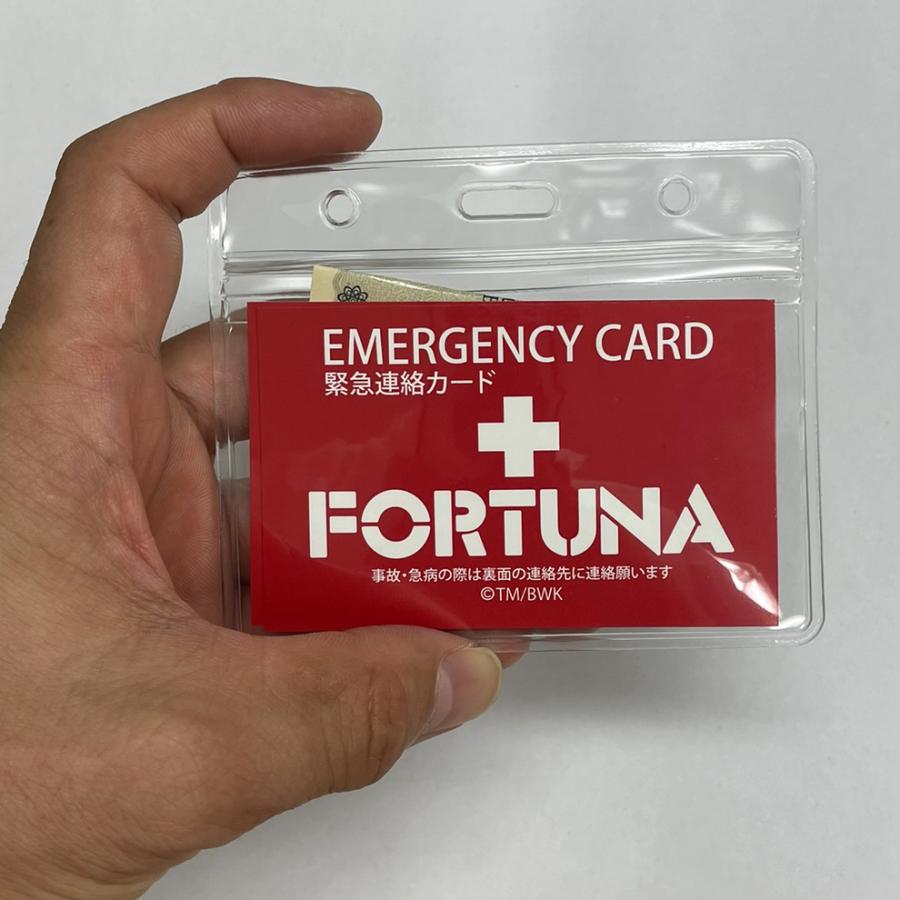 ろんぐらいだぁすとーりーず 防水エマージェンシーカードケー ス 小銭