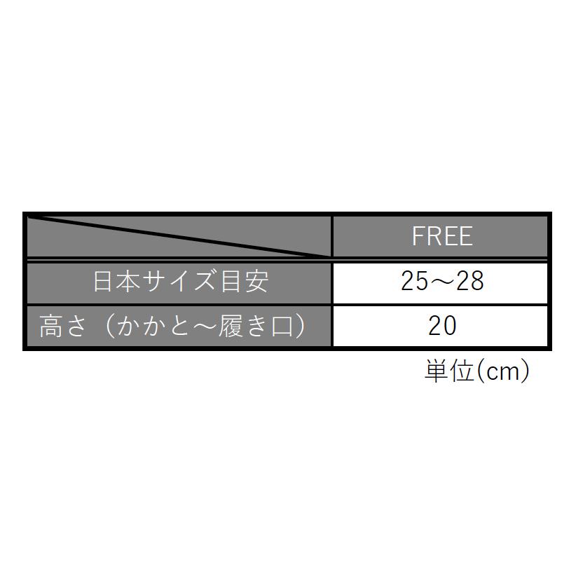 エアロソックス（ブラック）【返品・交換不可】 |  | 02