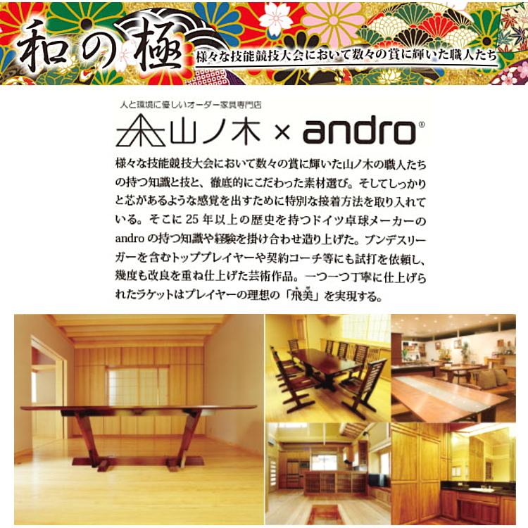 和の極 卓球ラケット andro アンドロ 和の極-煉- ST(ストレート