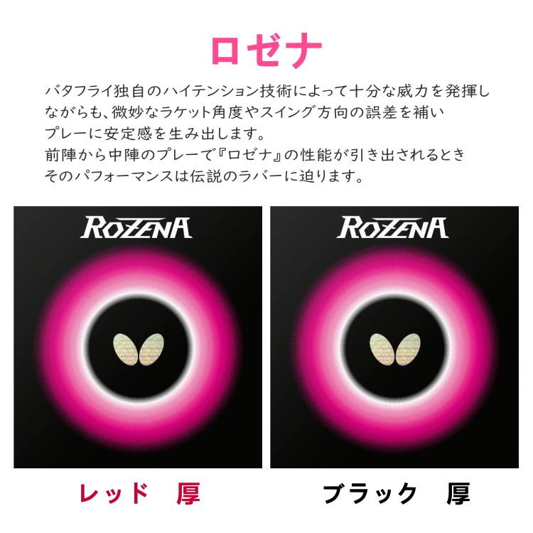 バタフライ（Butterfly） 卓球ラケットセット 初心者向け 新入生