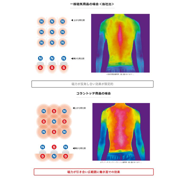 磁気ネックレス コラントッテ Colantotte TAO ネックレス RAFFI ラフィ シルバー ABAPF | ColanTotte | 05