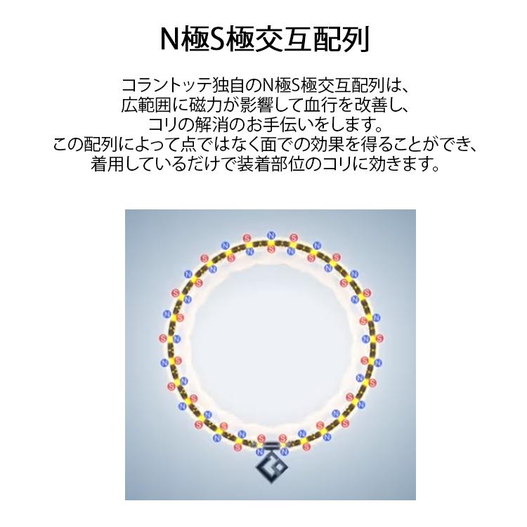 ColanTotte（コラントッテ） 磁気ネックレス Colantotte COA