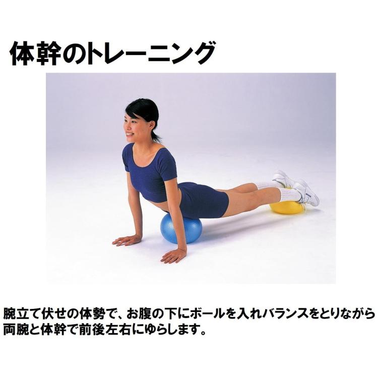 DANNO（ダンノ） ソフトギムニク バランスボール 23cm : サンワード