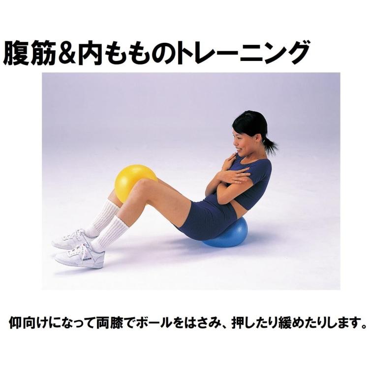 DANNO（ダンノ） ソフトギムニク バランスボール 23cm : サンワード