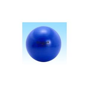 SDSエクササイズボール SDS-75 バランスボールブルー75cm_1