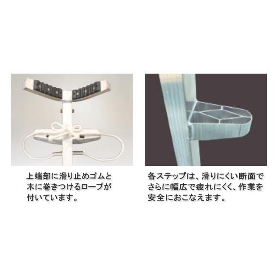ハラックス アルミ製 枝打はしご ワンダ WR-60 : サンワード - 通販
