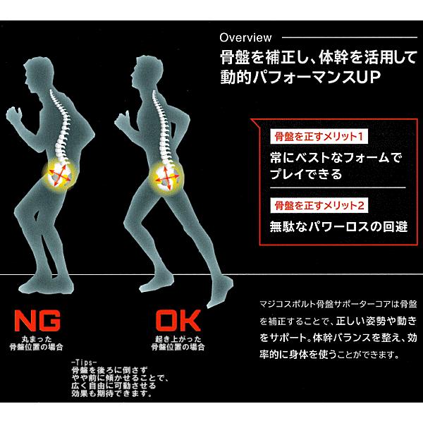 マジコスポルト 腰サポーター 骨盤サポーター コア 242536 242556 | マジコスポルト | 02