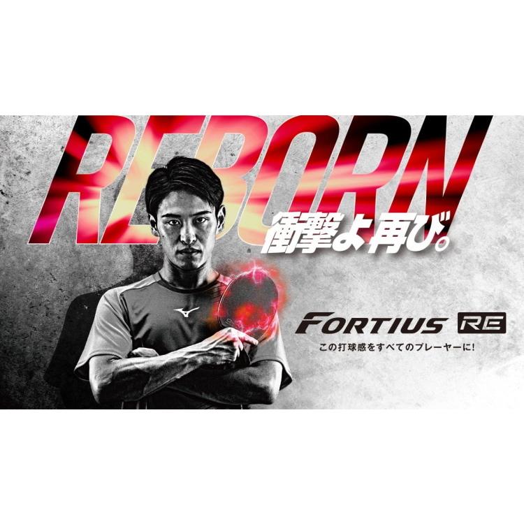 MIZUNO（ミズノ） 卓球ラケット フォルティウス FT ver.D RE ST