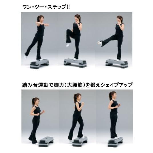 TOEI LIGHT（トーエイライト） エアロビックステップ760 H-7207