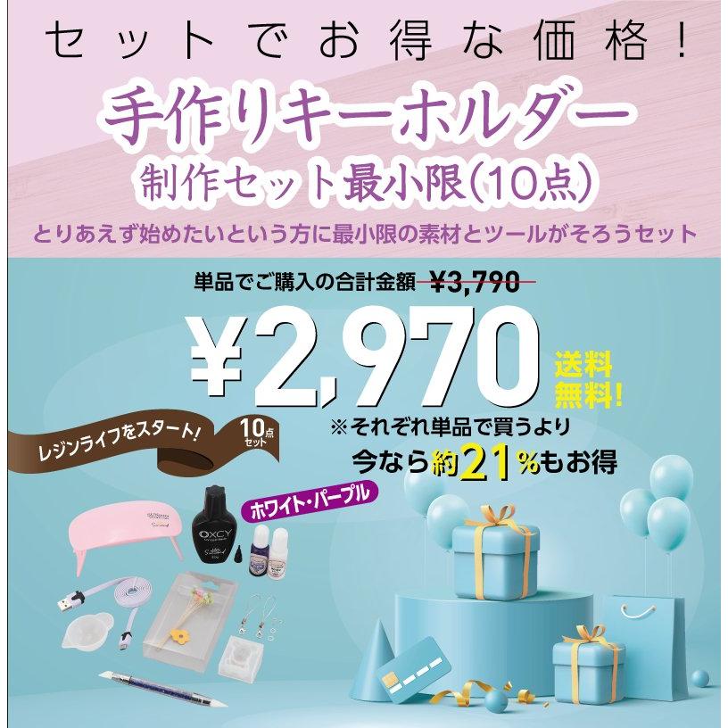 レジンキット レジン液 キーホルダーがつくれる 素材 ツール が10点入り 着色剤は ホワイト・パープル 【送料無料】 No.771402 :
