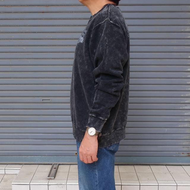 CHUMS（チャムス） トレーナー メンズ キャニオンランズ ビート