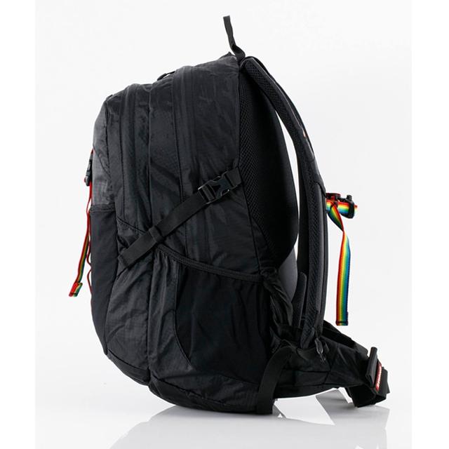 CHUMS（チャムス） リュック スプリングデール 25L バックパック