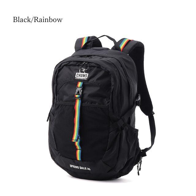 美品　CHUMS SPRING DALE 25 リュック CHUMS（チャムス） リュック 25l スプリングデール 25L バックパック