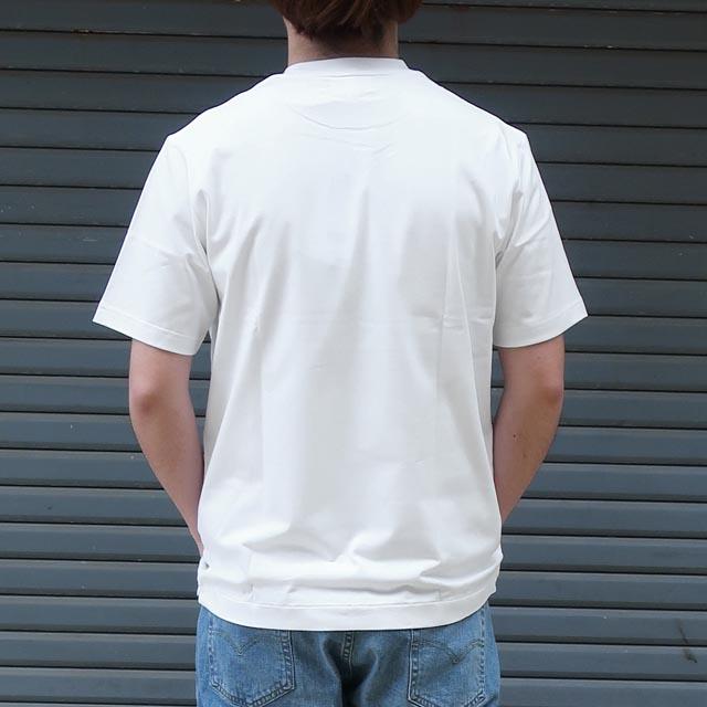 LACOSTE（ラコステ） tシャツ メンズ アウトラインクロッククルー