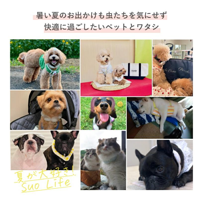 SUO SUO(R) 公式 2026年新商品 天然オーガニック材料使用 虫よけ