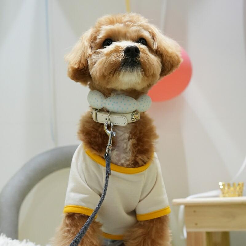 SHU Icanシリーズ犬