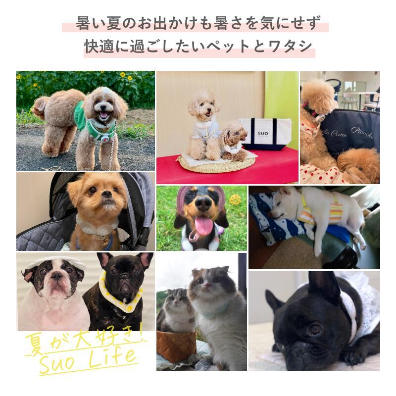 しろいぬさん専用 SUO SUO(R) 公式2026年新商品 Made ln Japan SUO 18°ICE for dogs